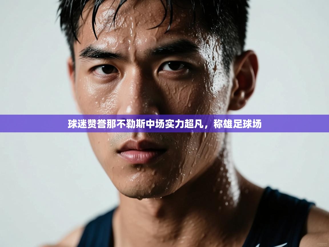 球迷赞誉那不勒斯中场实力超凡，称雄足球场  第1张