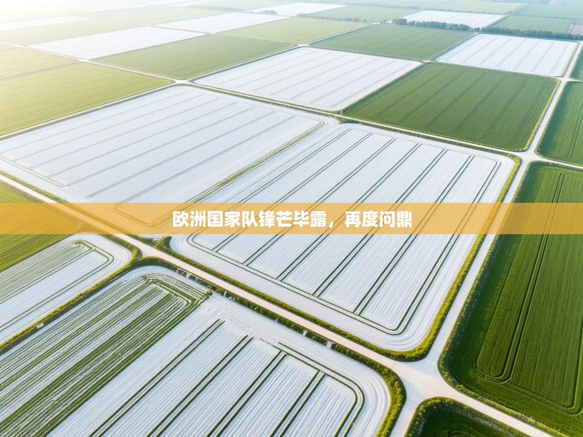 欧洲国家队锋芒毕露，再度问鼎  第1张