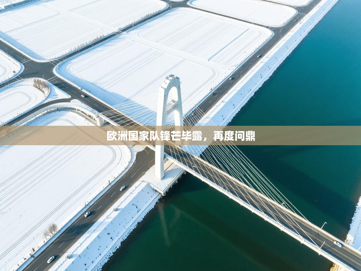 欧洲国家队锋芒毕露，再度问鼎  第2张