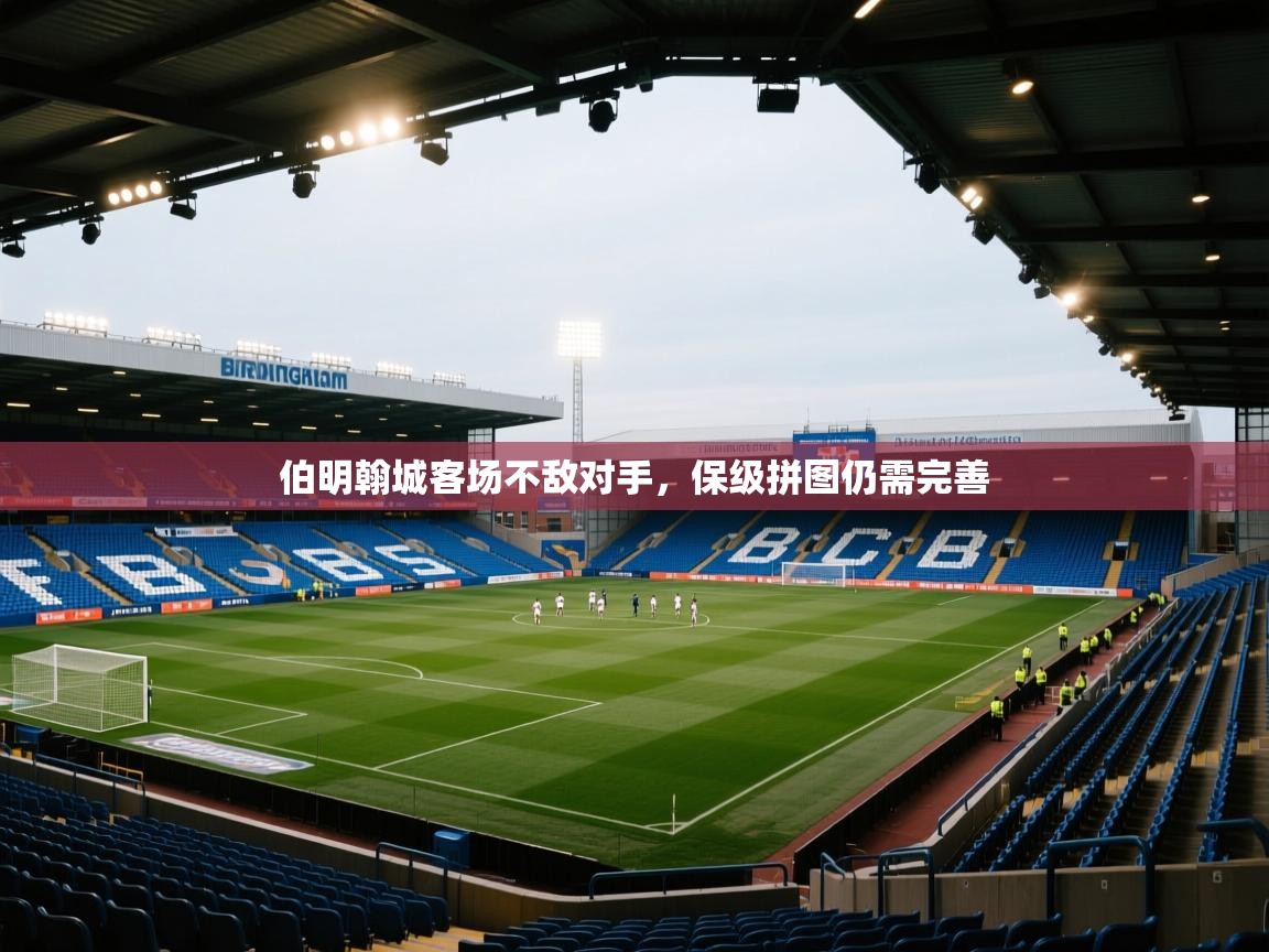 伯明翰城客场不敌对手，保级拼图仍需完善  第1张