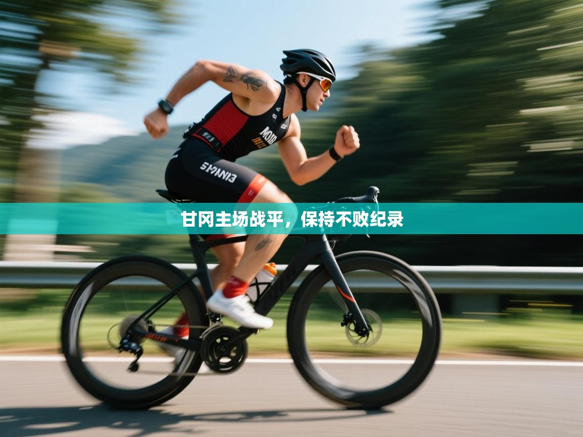 甘冈主场战平，保持不败纪录  第1张