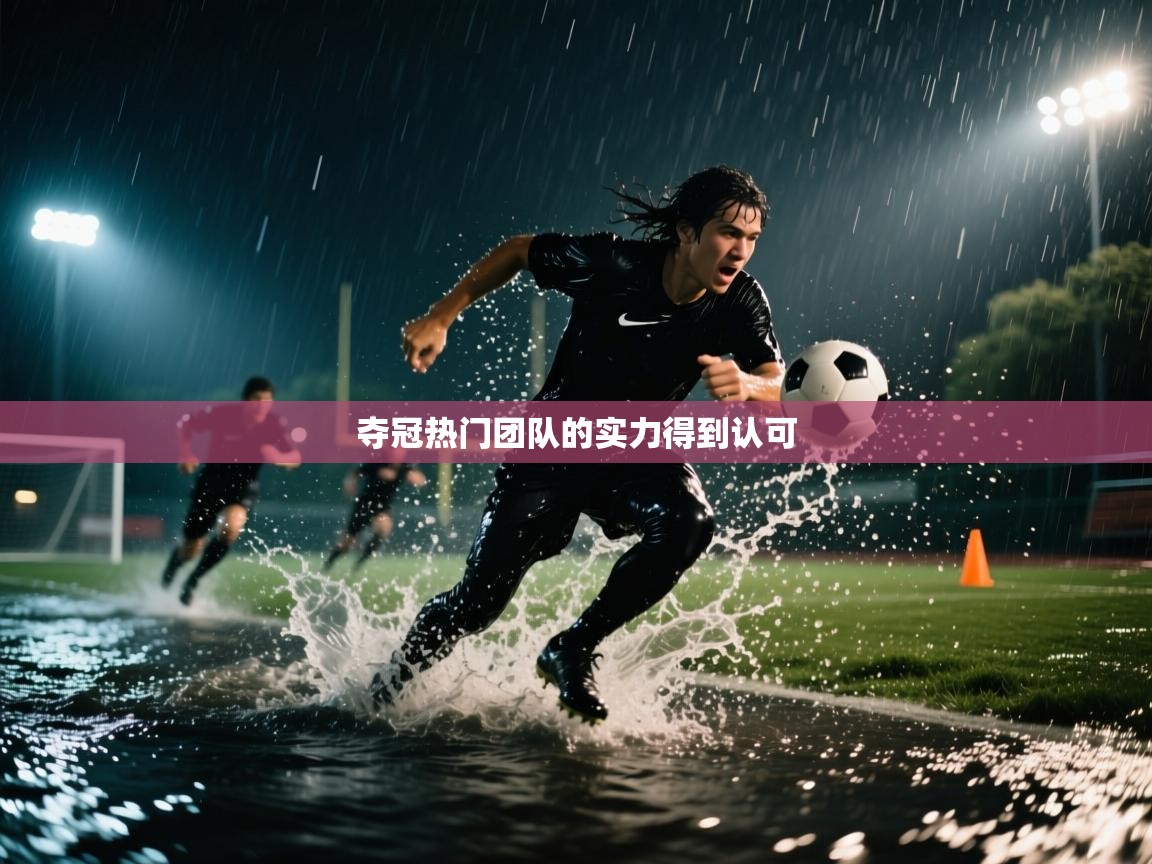 夺冠热门团队的实力得到认可 第1张