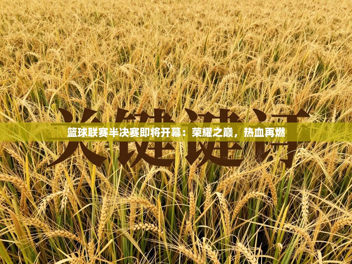 篮球联赛半决赛即将开幕：荣耀之巅，热血再燃  第2张