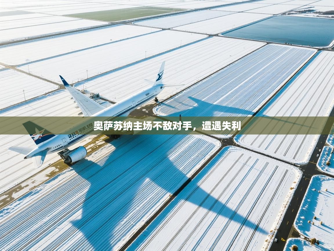 奥萨苏纳主场不敌对手，遭遇失利  第1张