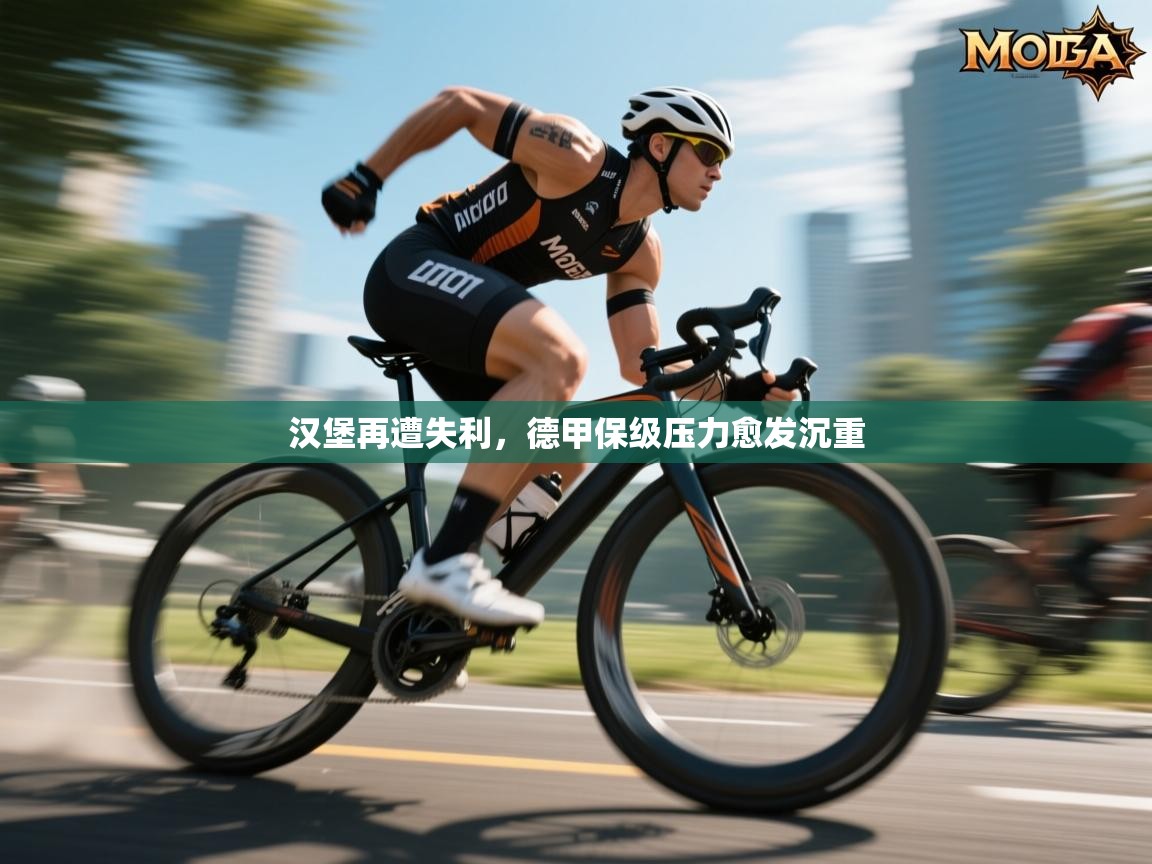 汉堡再遭失利，德甲保级压力愈发沉重  第2张